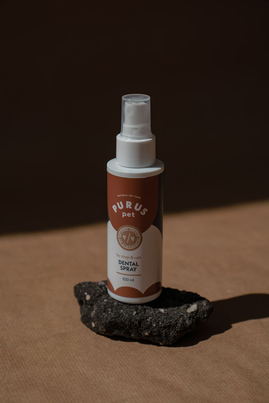 Dental spray I 100 ml
