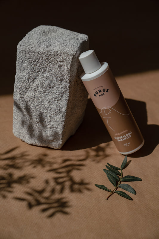 Shampoo 